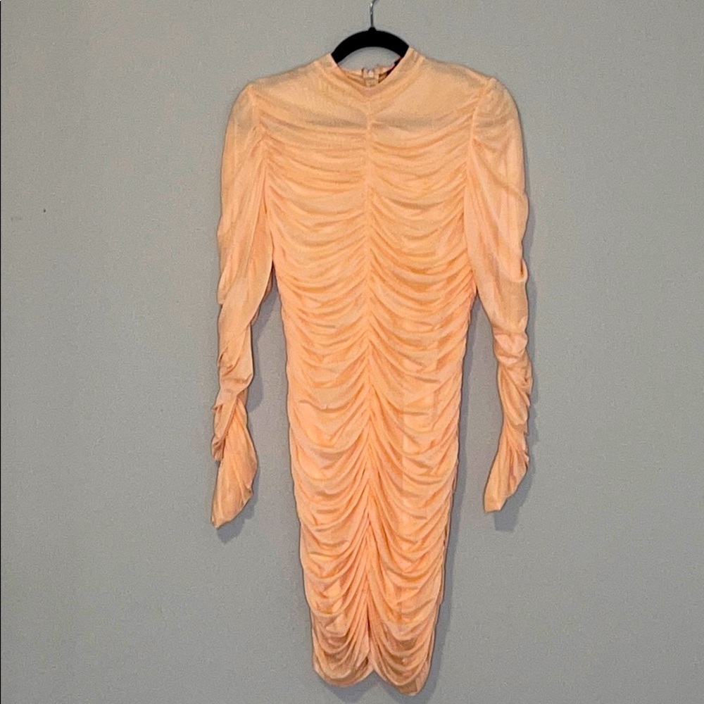 Long sleeved, ruched dress.  Peachy in color